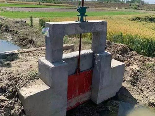 PZJY型机闸一体闸门 集成设计 启闭便捷 工业级品质 可直供产品实物图